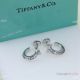 High Quality T I F F I NY T T1 Hoop Earrings with Diamonds  (2)_th.jpg